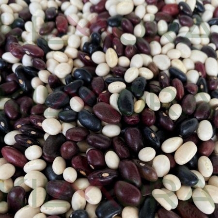 Close up of rajma or variegated red kidney beans